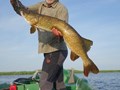 HOLBINA PIKEMASTER 2014 - 4-pikemaster.jpeg